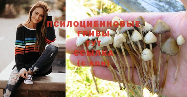 MDMA Дмитровск