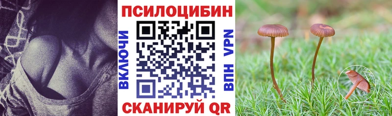 Галлюциногенные грибы мицелий  Купить где  Чайковский 